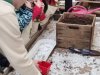 IMG_20250321_101632