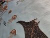IMG_20241216_115702