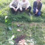 20241108_143034 - Copie - Copie