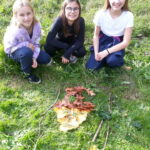20241108_143123 - Copie (2)