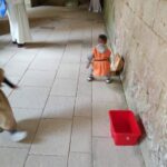 IMG_20250527_111037