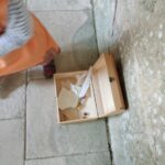 IMG_20250527_111316