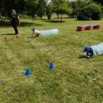 IMG_20250527_151629